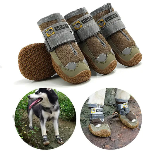 Zomerschoentjes voor Honden – Ademend & Comfortabel