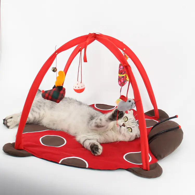 Cat play bed and exercise tent for interactive fun
