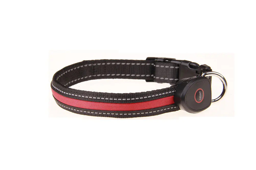 Collier lumineux rechargeable par USB pour chien