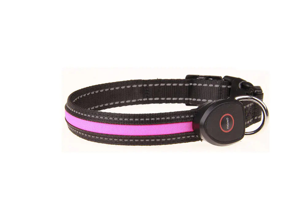 Collier lumineux rechargeable par USB pour chien