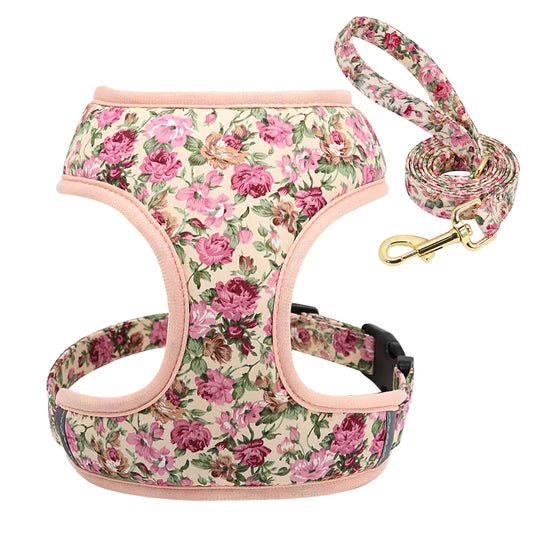 Hondenriem voor Puppy's