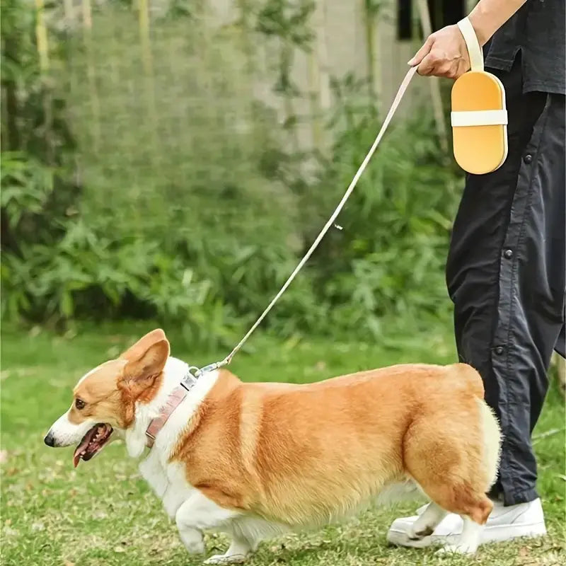 Portable ice-shaped water bottle
