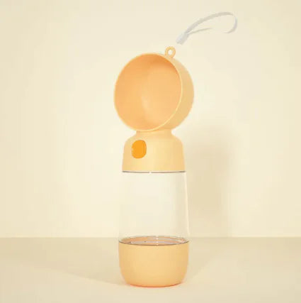 Portable water bottle