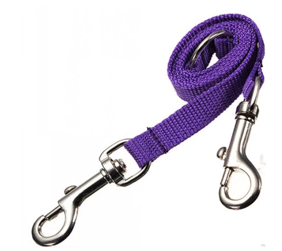 Double dog leash coupling for walking two dogs