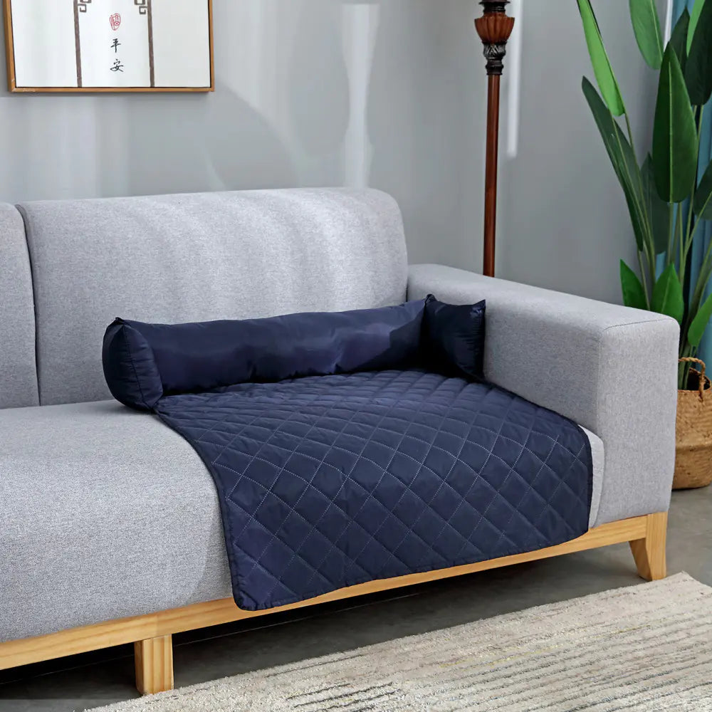 Special sofa, car, mattress &amp; dog basket