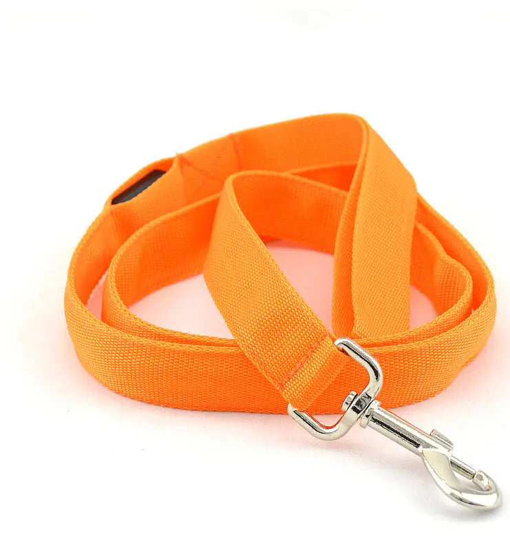 LED Light Up Dog Leash for Night Walks