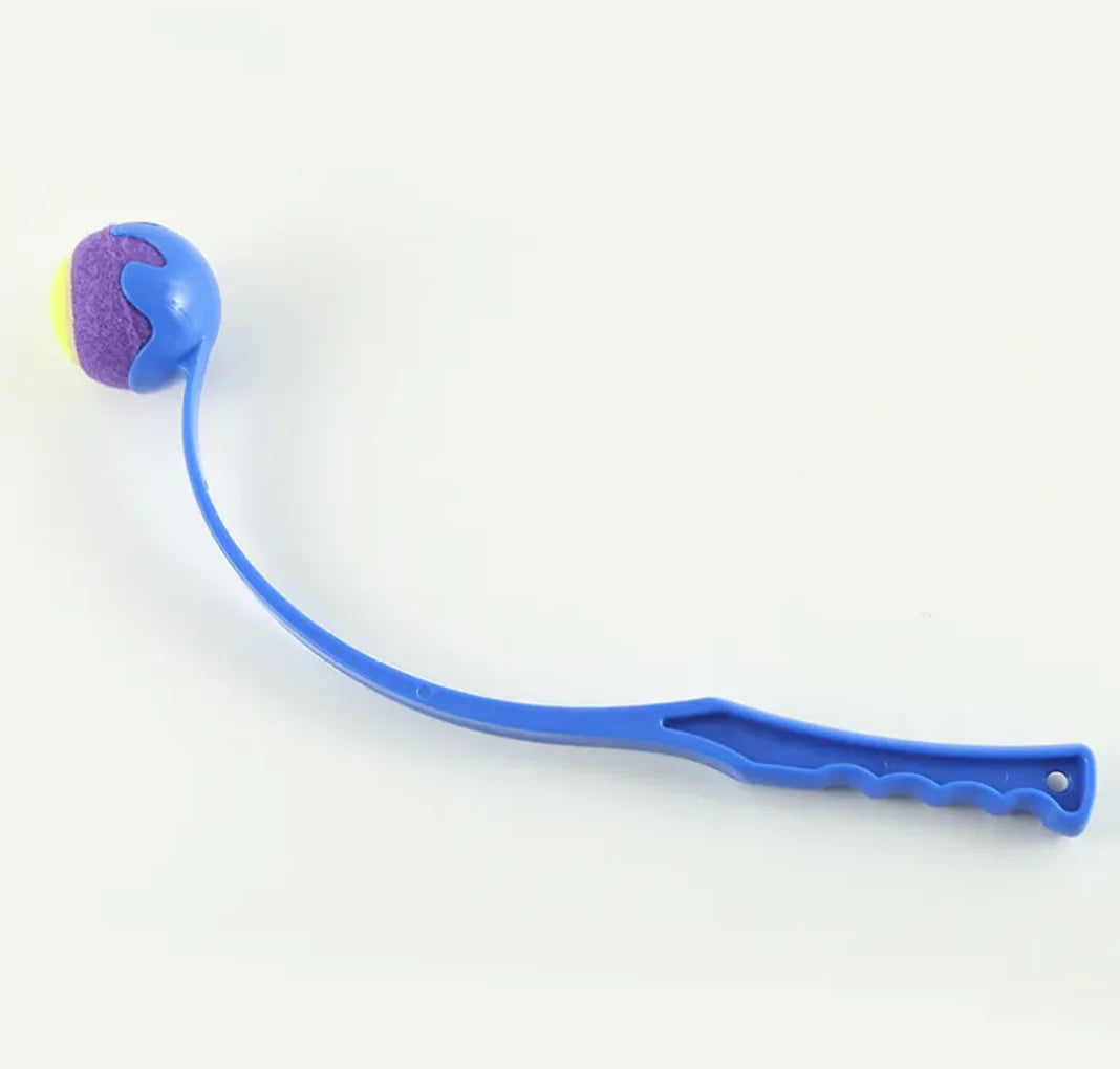 Dog Training Throwing Stick Outdoor Toy