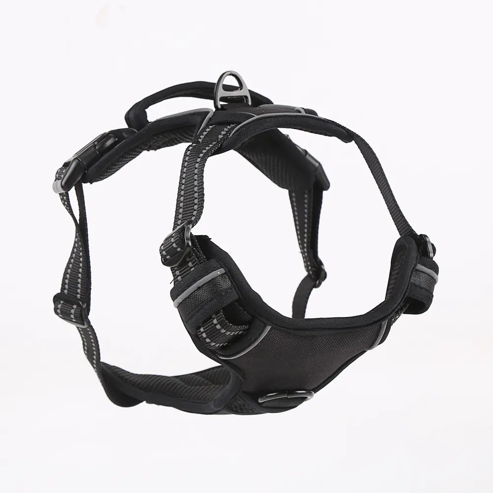 Universal Reflective Dog Leash and Harness