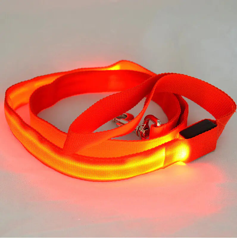 LED Light Up Dog Leash for Night Walks