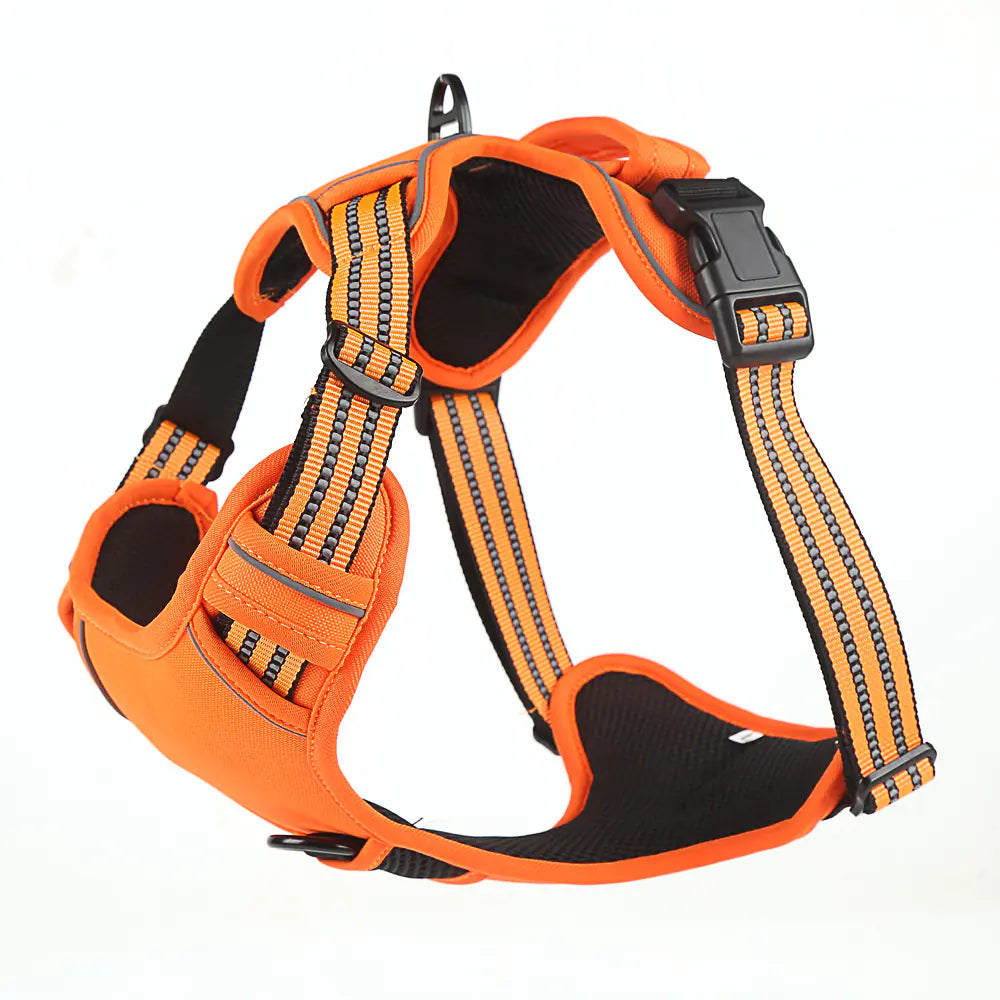 Universal Reflective Dog Leash and Harness
