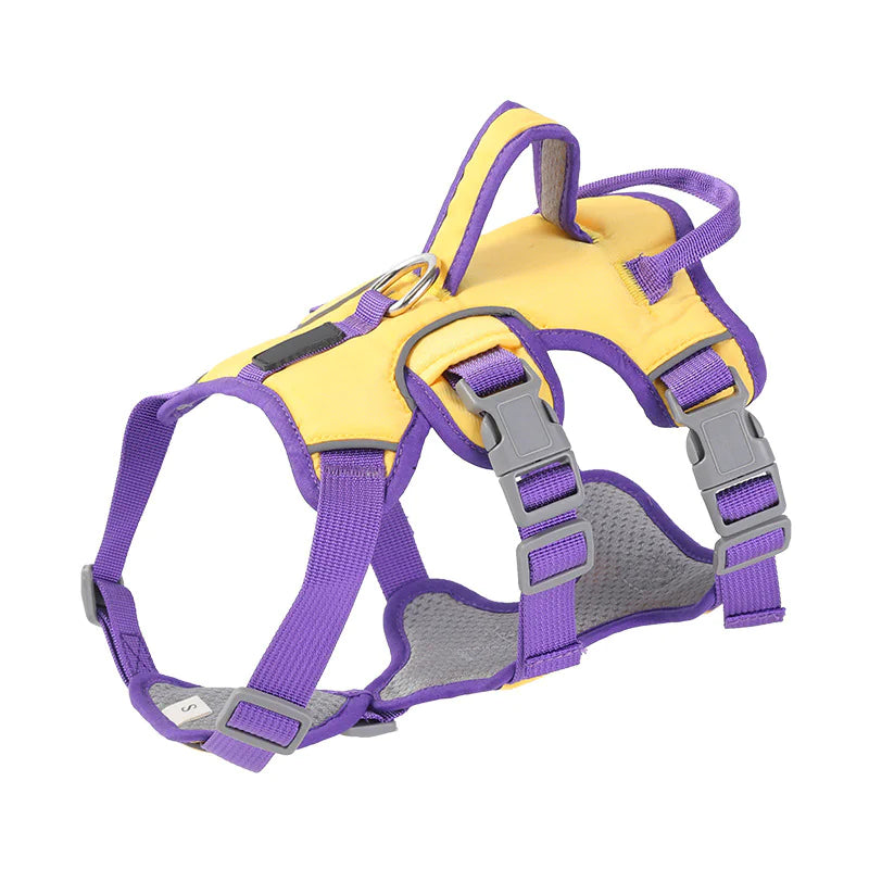 Harness