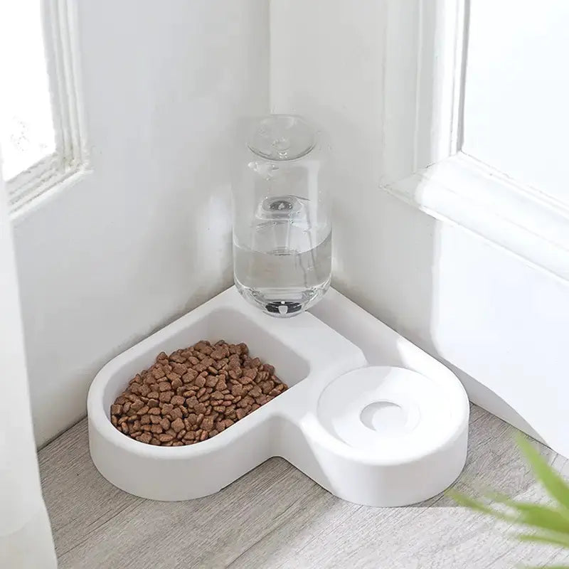 Automatic Water Fountain and Food Bowl