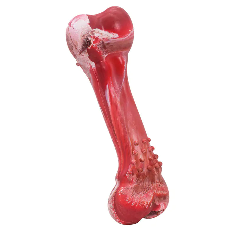 Chew toy with sound