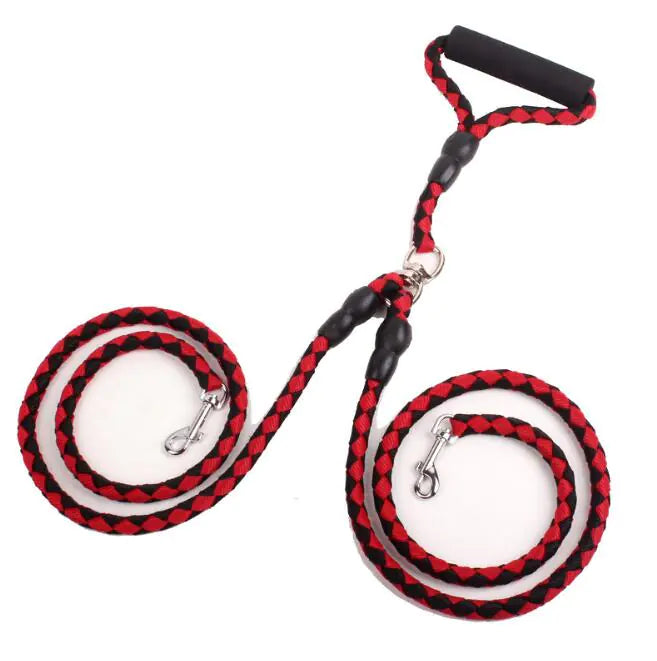 Two-line dog leash with collar