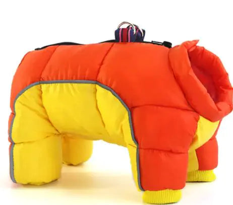 🐶 Winterkleding voor Honden – Warm, Comfortabel & Stijlvol