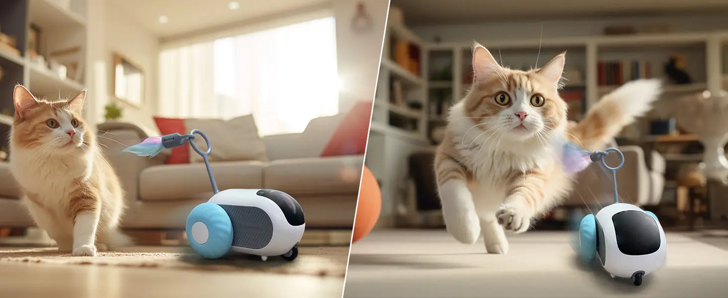 Smart automatic toy car for cats.