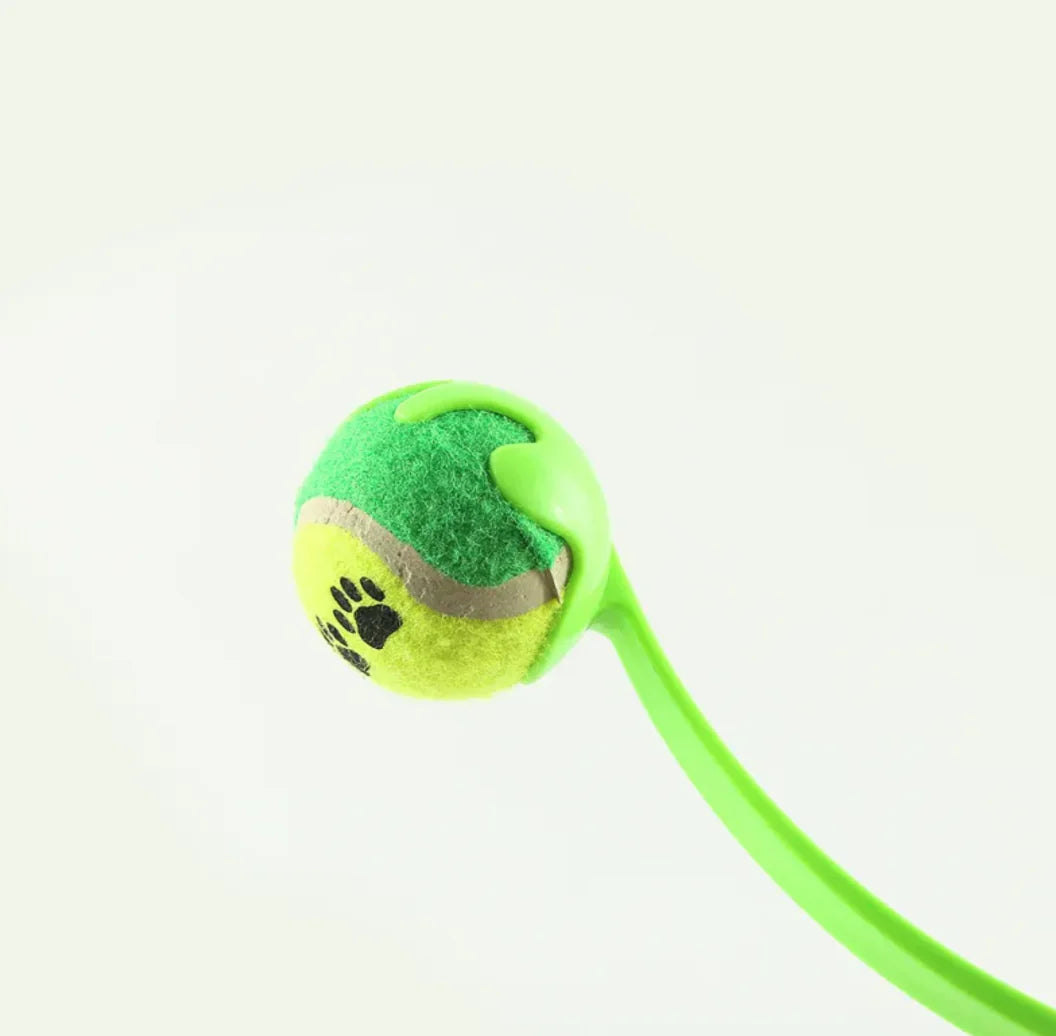 Dog Training Throwing Stick Outdoor Toy