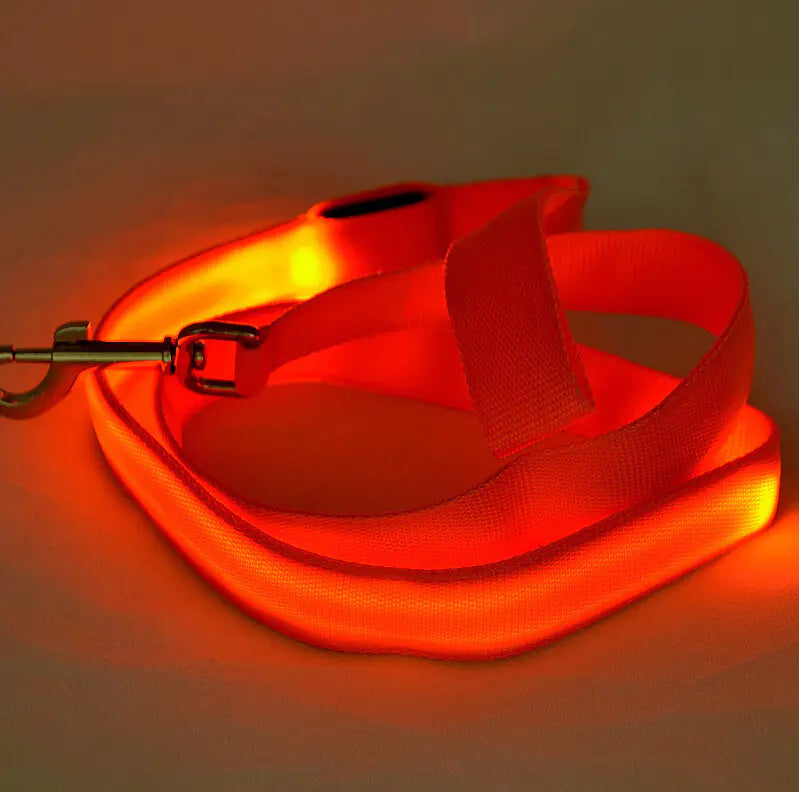LED Light Up Dog Leash for Night Walks