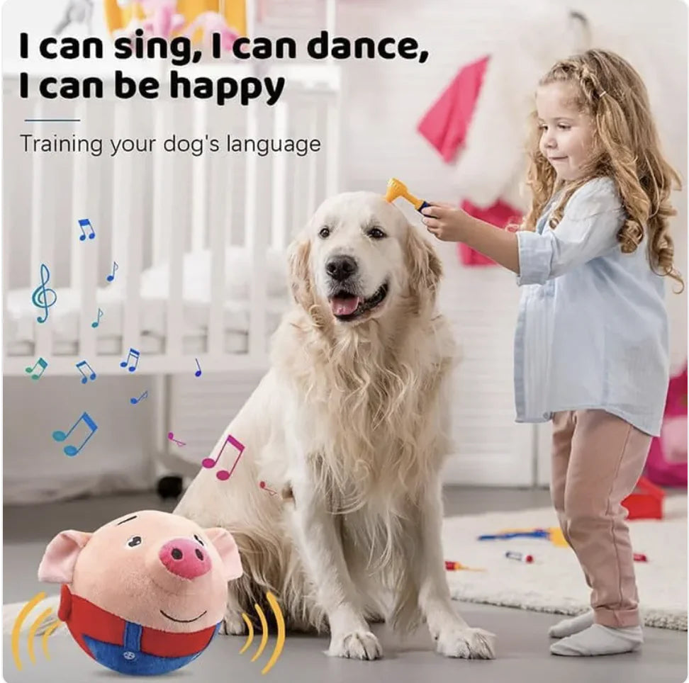 Bouncing Squeaky Dog Toy