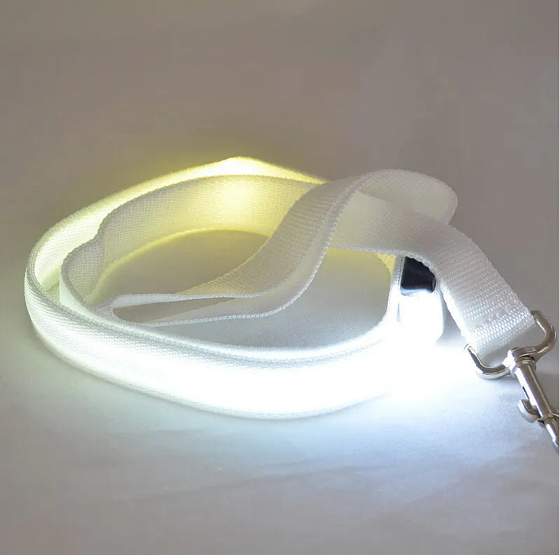 LED Light Up Dog Leash for Night Walks