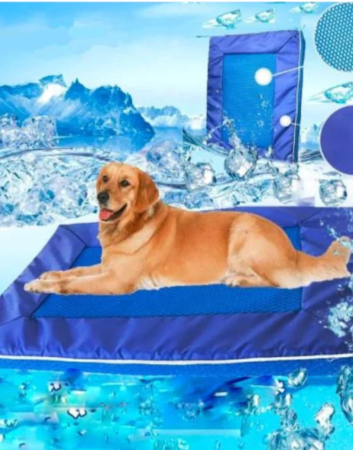 Koel kleed voor de in de zomer