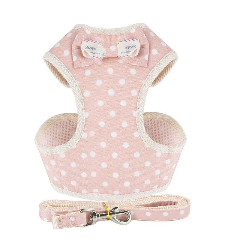 Dog suit with leash