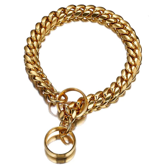 Stainless Steel Titanium P Chain