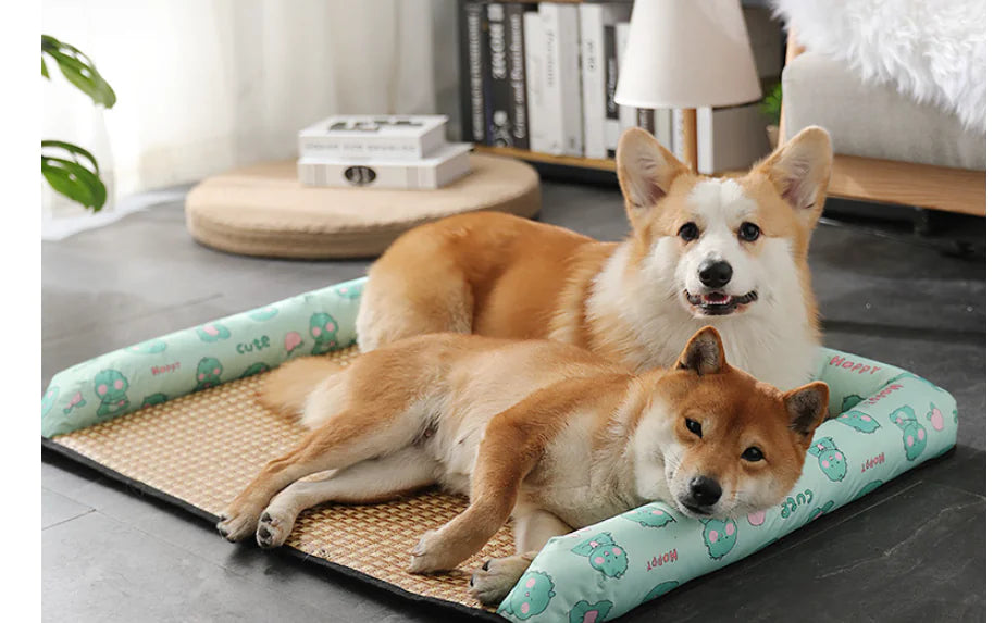 summer cool nest 